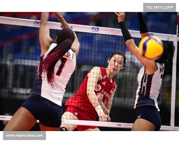 2019全年运动赛事;2019年有什么比赛