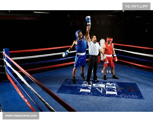 世界拳击最大赛事世界级的拳击比赛