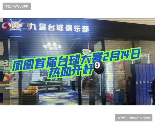 中式八球赛事直播在哪看