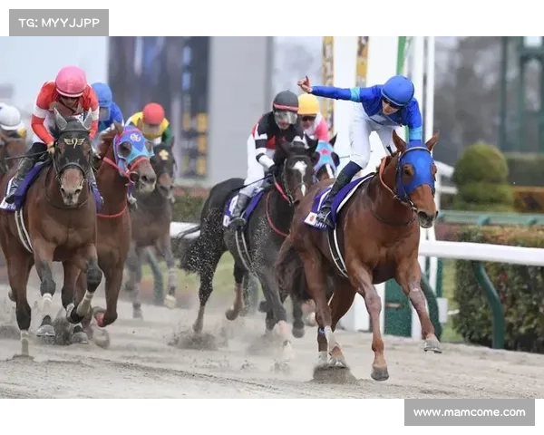 国内国际赛事-全球国际赛事精华总览